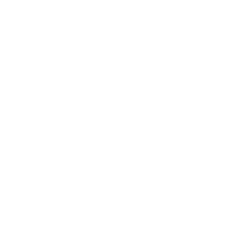 Protecsure Électronique